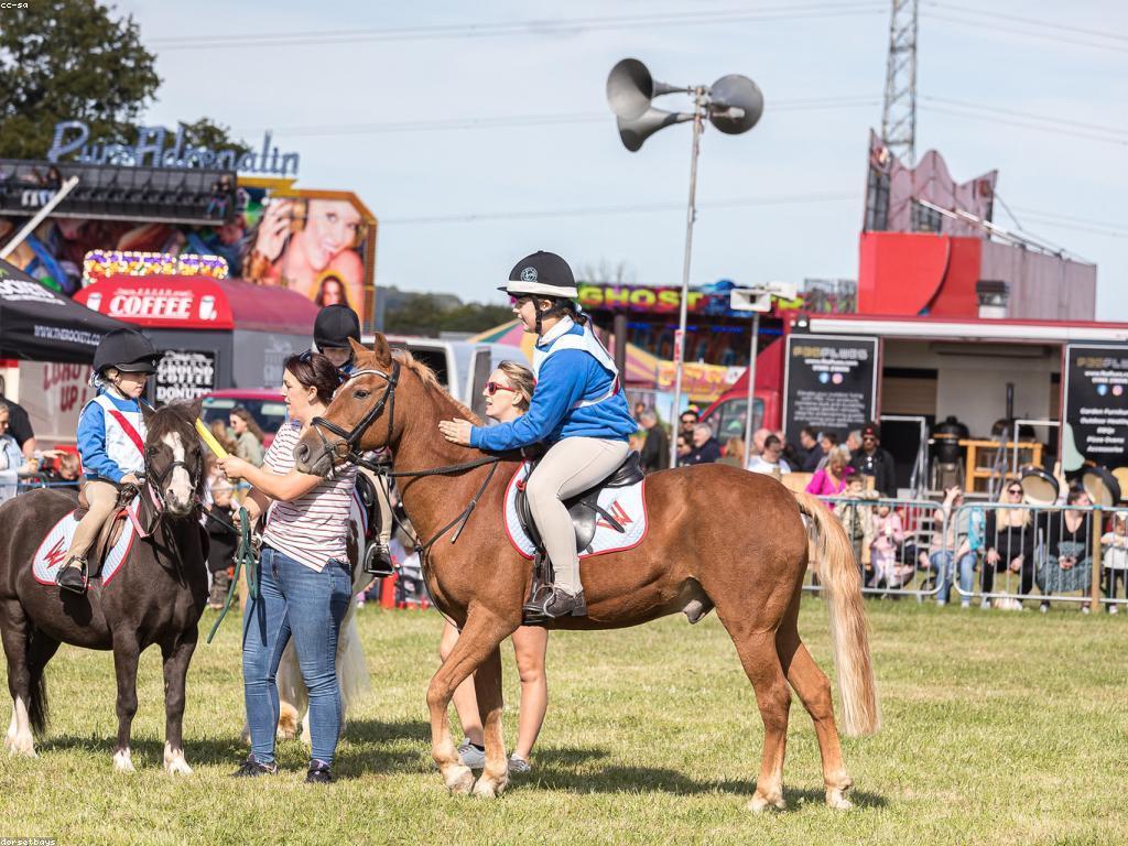 ការប្រកួតនិងរង្វាន់: ឱកាសនិងការប្រយុទ្ធ