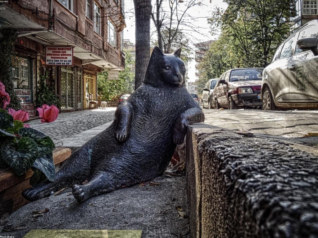 ការប្រកួតនិងរង្វាន់: ការបង្កើតឱកាសសម្រាប់អ្នកប្រកួត